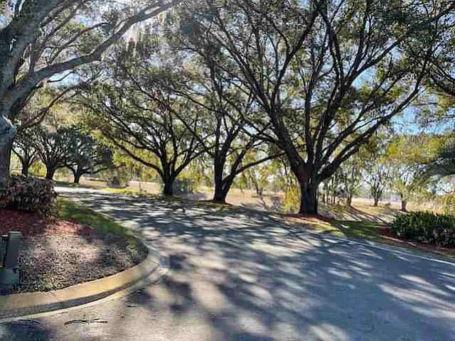 2nd image of 8334 Maybelle Dr