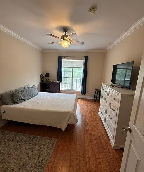 Downstairs Bedroom