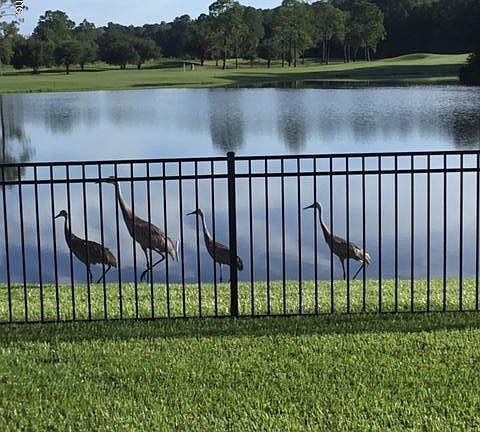 5th image of 5114 Cypress Links Blvd
