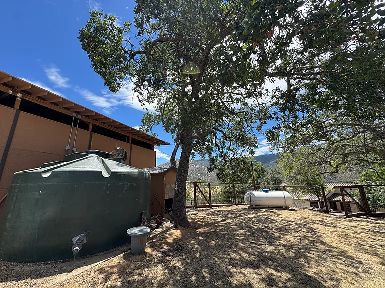 12336 Mines Rd — Photo 72