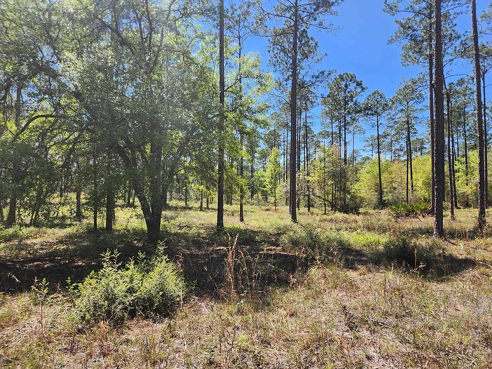 2nd image of 0 Breakaway Gap Rd