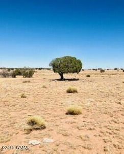 N 6425th, Saint Johns, AZ, 85936