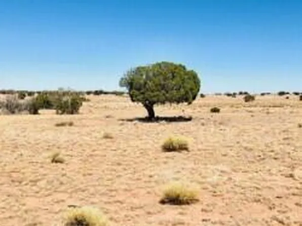 N 6425th, Saint Johns, AZ 85936