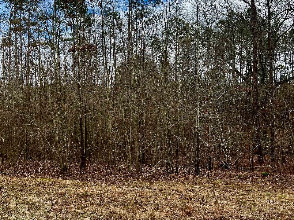 0 Susie Pope Rd, Buchanan, GA 30113 MLS 20102145 Zillow