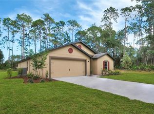 241 Fig Ct, Poinciana, FL 34759