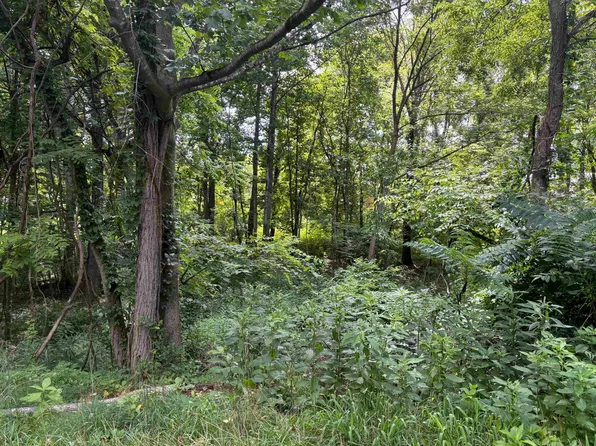 LOT 8 Park View Ct, Dublin, VA 24084