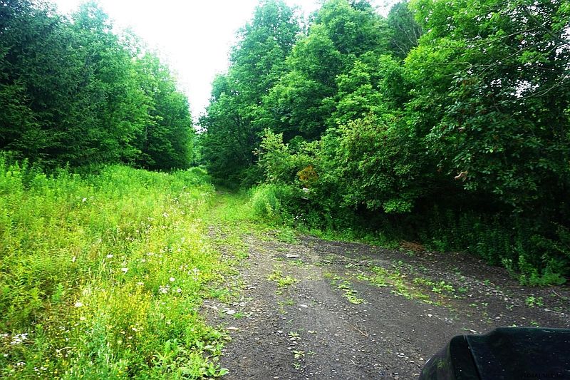 3rd image of HAWKINS Road