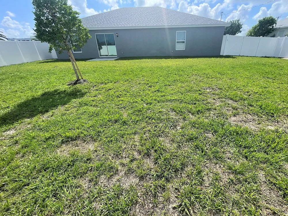 4 bed, 1810 sqft, $1,495 — Photo 4