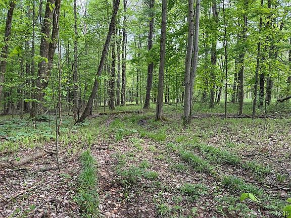3rd image of Kellogg Hill Rd