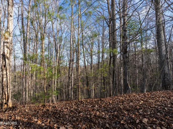 270 Fence Rail Gap Rd, Townsend, TN 37882