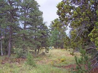 2207 Four Point Cir, Overgaard, AZ 85933