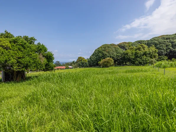 Old Mamalahoa Hwy, Hakalau, HI 96710