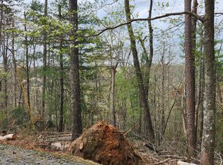 LOT 567 Dora Ln, Ellijay, GA 30540