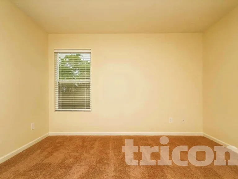 7343 Autumn Crossing Way — Photo 14