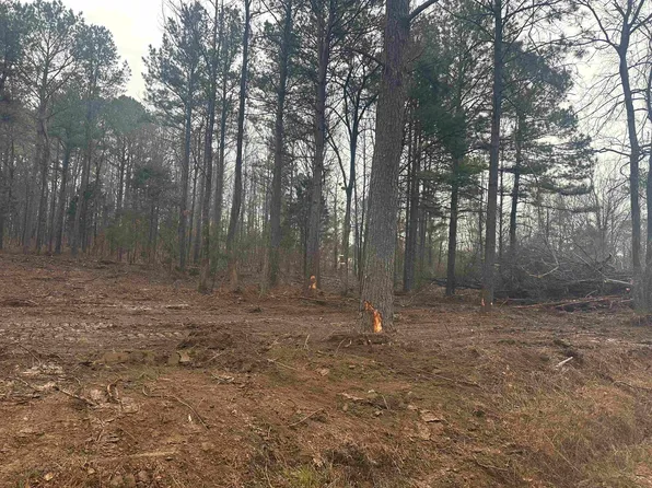 Bob Hall Rd Tract C, Donaldson, AR 71941