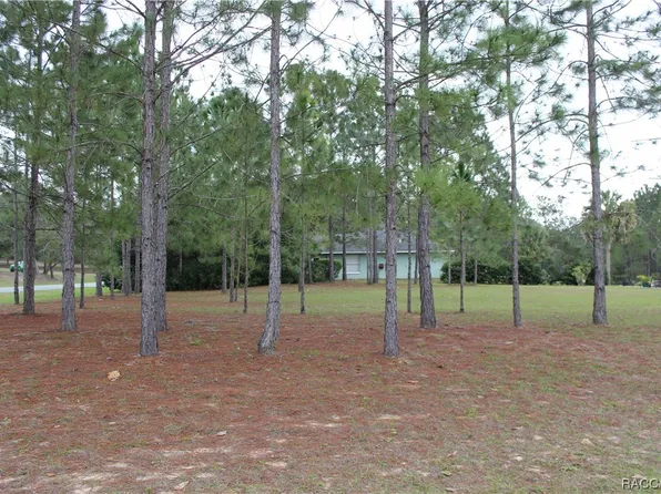 2590 N Brentwood Cir, Lecanto, FL 34461