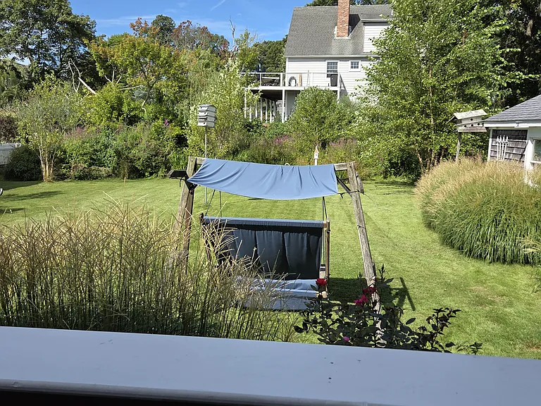 back yard