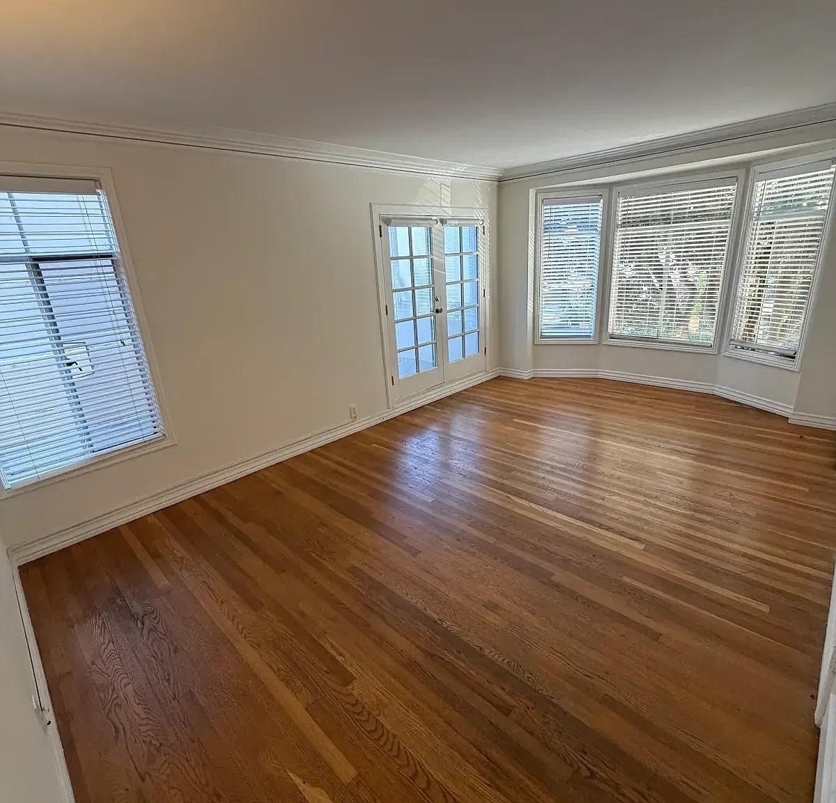 1 bed, $5,500 — Photo 1