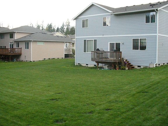 Very Large Backyard