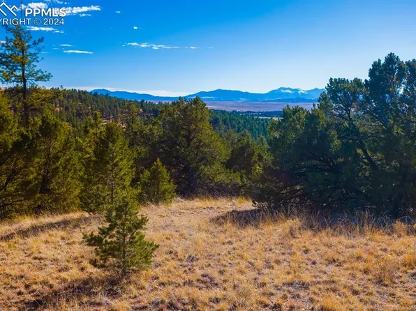 177 Pawnee Trl, Westcliffe, CO 81252