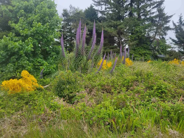 1415 Breen St, Crescent City, CA 95531