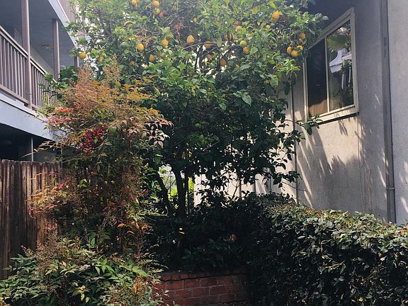 3rd image of 11655 Gorham Ave APT 4
