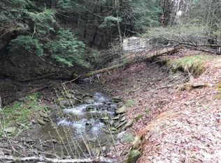 0 Neff Hill Rd, Bainbridge, NY 13733