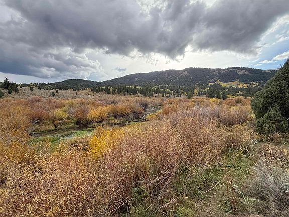 5th image of 0 Cow Camp Rd