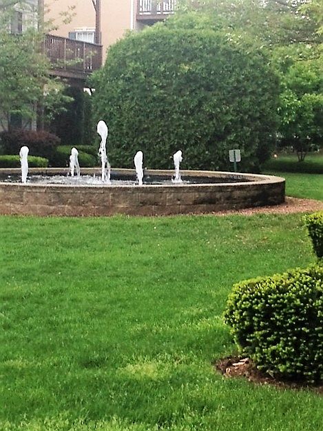 View from the deck.