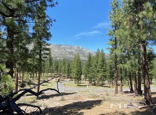 290 Senecas Ct, Carson City, NV