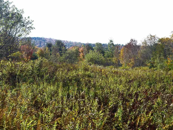 Lot 2 Kentfield Road Lot #2 Off Howe Lots, Whitingham, VT 05361