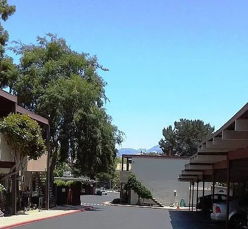 2 bed, 1000 sqft, $2,500 — Photo 2