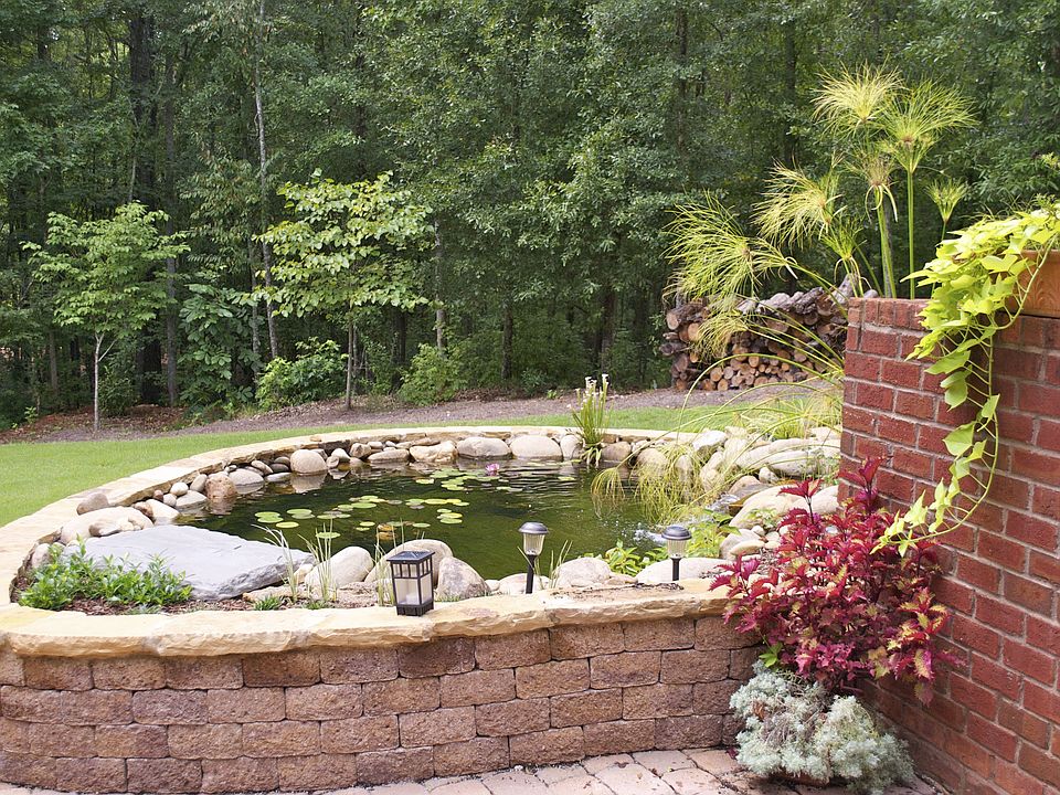 fish pond with waterfall