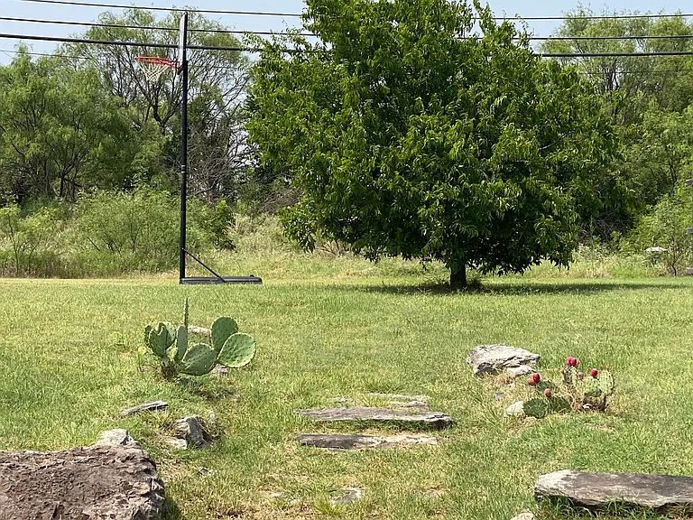 3908 Onaway Trl — Photo 17