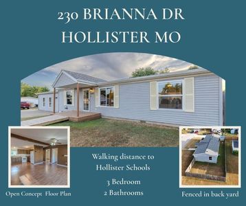 230 Brianna Drive, Hollister, MO, 65672