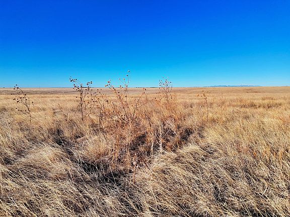 2nd image of County Road 141