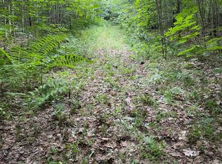 County Line Lake Boat Landing Rd, Bruce Crossing, MI 49912