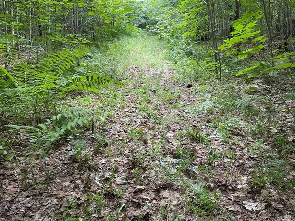 County Line Lake Boat Landing Rd, Bruce Crossing, MI 49912