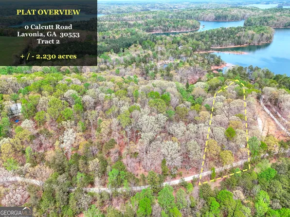0 Calcutt Rd Tract 2, Lavonia, GA 30553