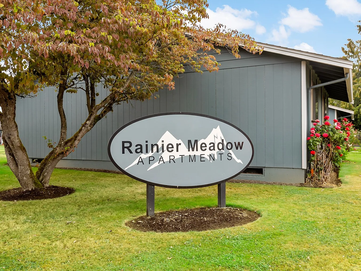 Rainier Meadow — Photo 2