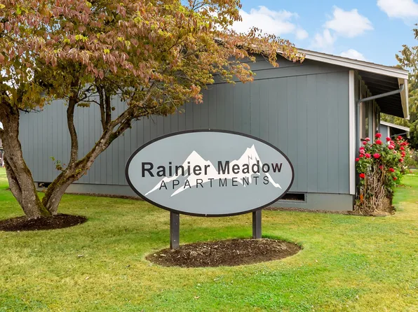 Rainier Meadow