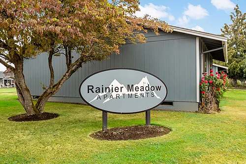 Rainier Meadow Photo 1