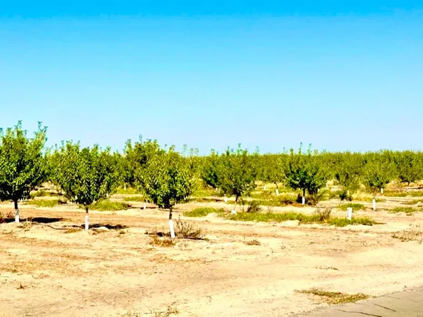 11716 S Cornelia Ave, Caruthers, CA 93609