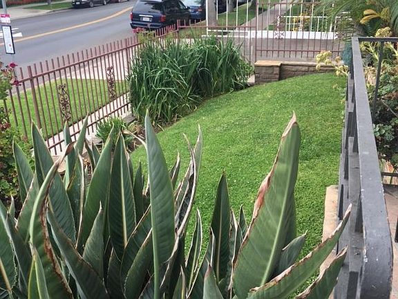 3rd image of 1501 S Beverly Dr APT 1