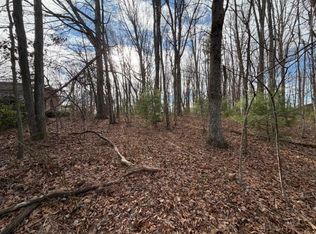 Lots 3&4 Ivanhoe Rd, Max Meadows, VA 24360