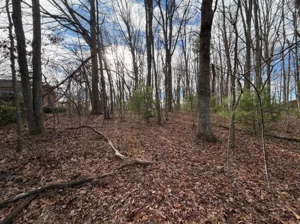 Lots 3&4 Ivanhoe Rd, Max Meadows, VA 24360