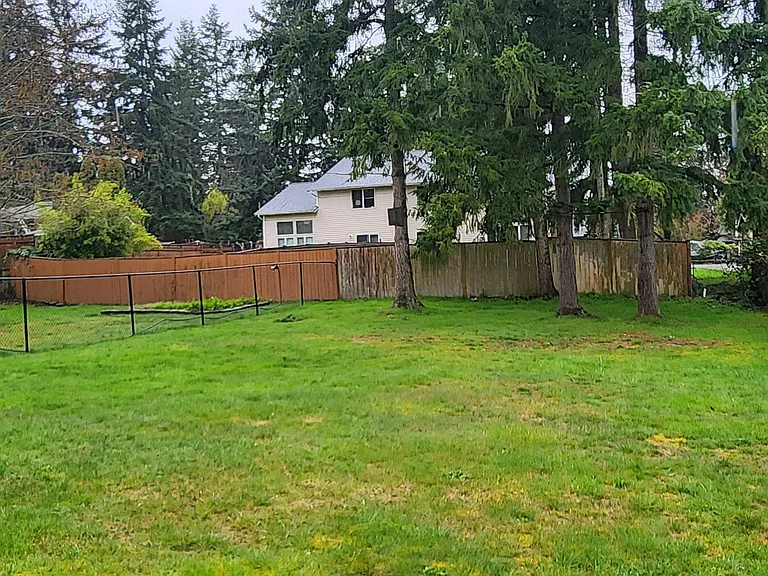 Backyard 2