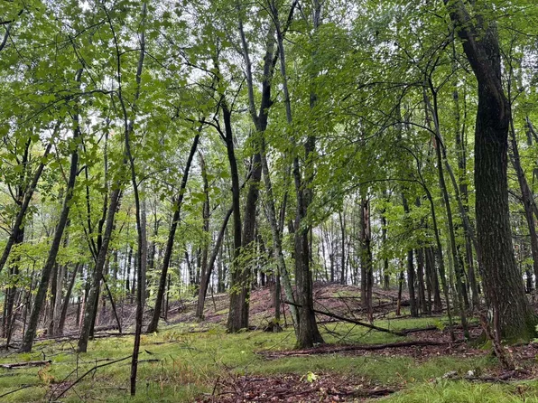 Doede Ln #4-5, Iola, WI 54945