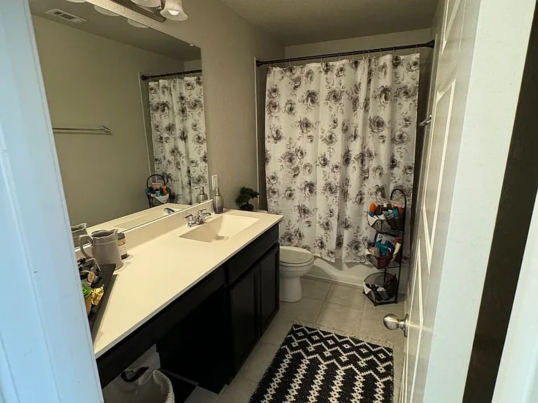 11647 Tribute Oaks — Photo 19
