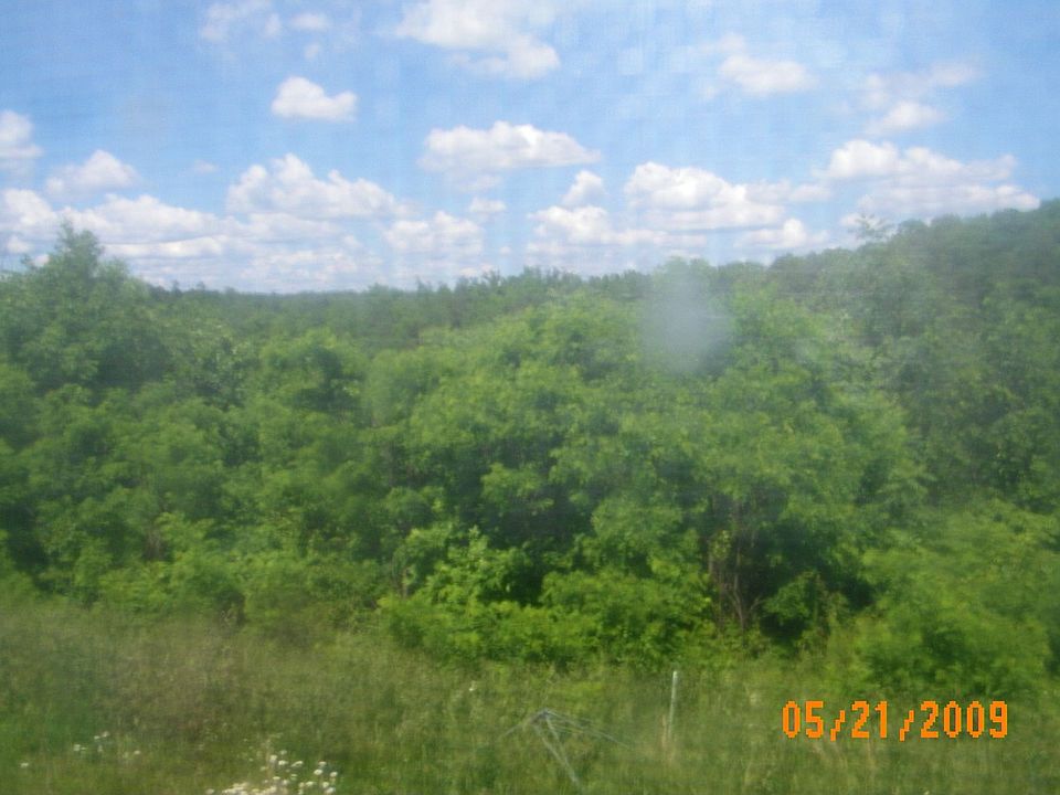 View from Back